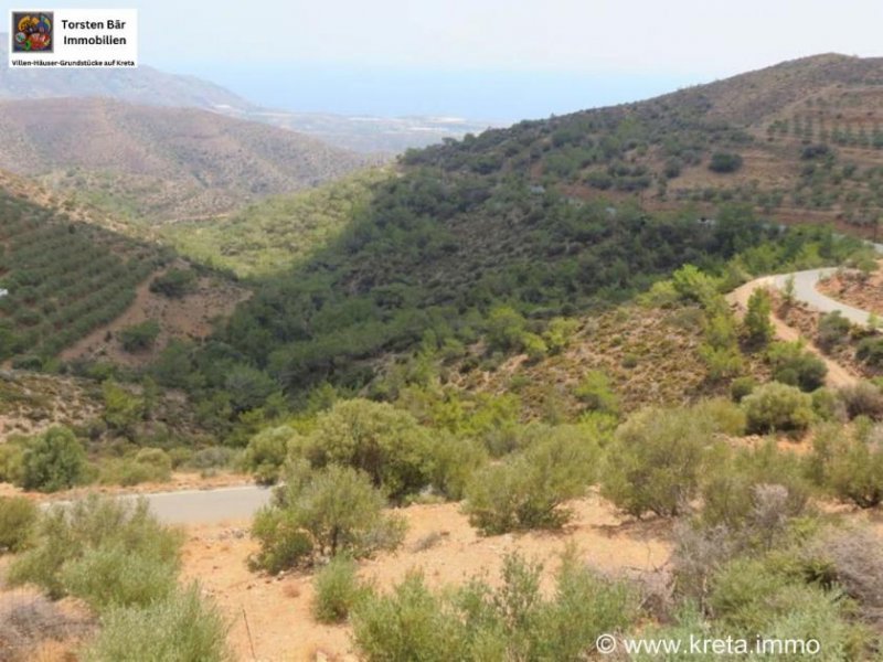 Makry-Gialos Kreta, Pefki - Makry Gialos Großes Grundstück mit Meerblick zu verkaufen! Grundstück kaufen